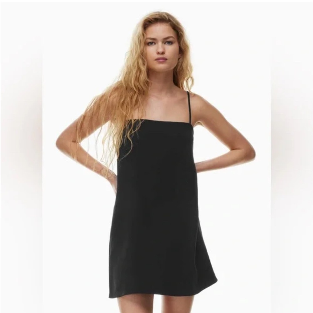 Worn once Aritzia renewal dress